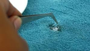 remove carpet burns afrand carpet