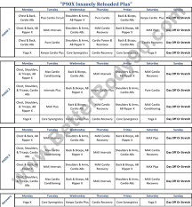 P90x Plus Workout Schedule Pdf Sport1stfuture Org