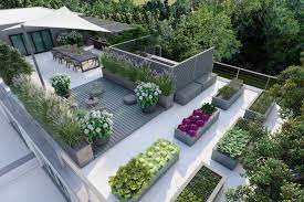 Want To Create A Rooftop Garden At Home