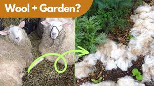 use wool in the garden or greenhouse