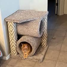 small carpet cat tree for big kitties