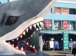 sneads ferry nc giant shark