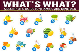 Vitamin Mineral Chart For Dummies The Science Of Eating