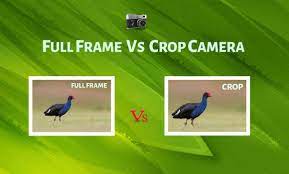 full frame vs crop camera differences