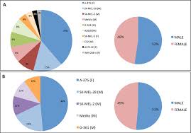 Most Used Cell Lines For Melanoma Studies A Pie Chart