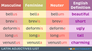 latin adjectives list to learn the