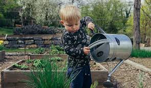 Eco Friendly Garden Activities For Kids
