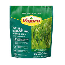 vigoro 3 lbs dense shade gr seed