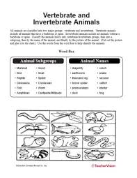 Vertebrate And Invertebrate Animals Teachervision