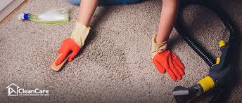 office carpet cleaning service 7
