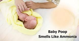 baby smells like ammonia