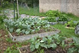 Why Use Raised Garden Beds