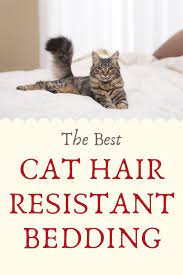 the best cat hair resistant bedding