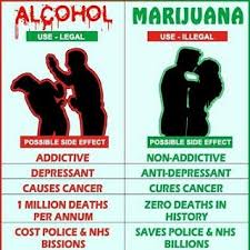 Alcohol Vs Marijuana Federal Legalization Of Marijuana