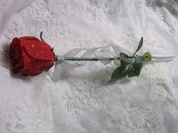 And each one plays a different role for its purpose. Single Stem Rose In Cello Wrap Flowerandballooncompany Com