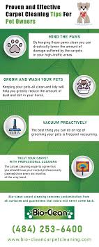 effective carpet cleaning tips for pet