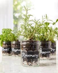 18 Brilliant Herbs In Glass Jar Ideas