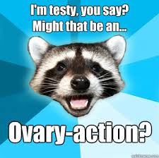 I&#39;m testy, you say? Might that be an... Ovary-action? - Lame Pun ... via Relatably.com