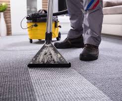 carpet cleaning central auckland nexdo