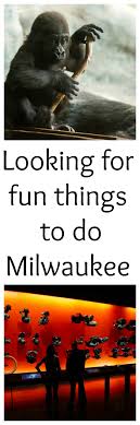 things to do in milwaukee wi eat