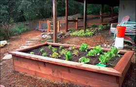 resolution gardens grow food we ll help