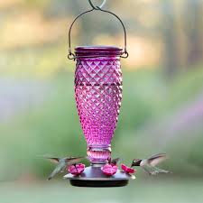 glass hummingbird feeder purple