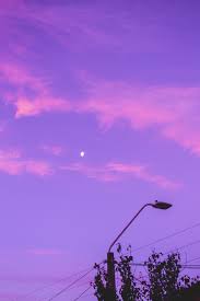 100+ Purple Sky Pictures