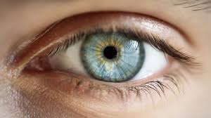 Laser surgery simply moves the prescription from your glasses onto your cornea so that light focuses sharply on the retina. How Does Lasik Work Everything You Need To Know About Lasik Eye Surgery