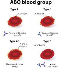 human blood types broad learnings
