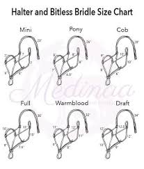 Important Halter And Bitless Bridle Size Change