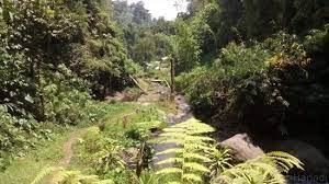 Wisata alam ini berada di dusun krajan, desa taji alamat : Jalan Di Air Terjun Coban Siuk Picture Of Coban Siuk Malang Tripadvisor
