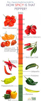 How Spicy Is That Pepper Infographic I Really Like This