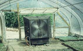 your greenhouse cool this summer