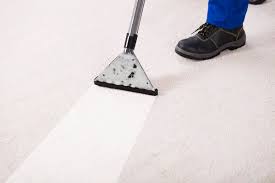carpet cleaning graphics stock photos