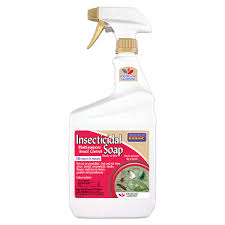bonide insecticidal soap quart rtu