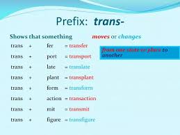 ppt prefix trans powerpoint