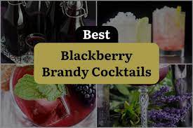 11 blackberry brandy tails to