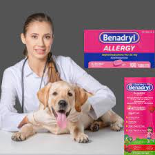 safe benadryl for dogs dosage chart