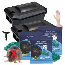rat mouse bait station with