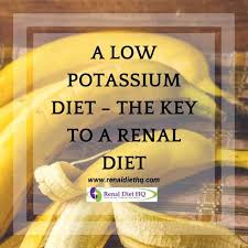 low potium t for kidney disease
