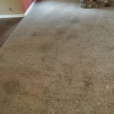 carpet cleaning