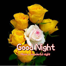 good night in tamil love photo