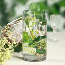 Clear Glass Vase Flower Vase Cylinder