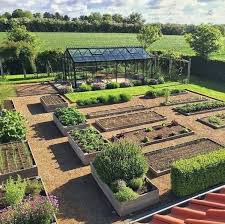 vegetable garden in your backyard