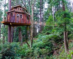 How To Make A Treehouse Houzz