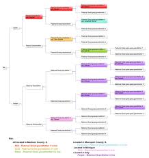 Blog Archives Family Trees And Branches