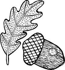 Fall leaves and acorn coloring page best coloring pages. Acorn Coloring Stock Illustrations 523 Acorn Coloring Stock Illustrations Vectors Clipart Dreamstime