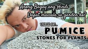 significant uses of pumice stone for