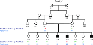 Family Tree For Cases 1 3 Four Generation Family Tree Representing