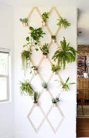 6 Diy Plant Displays To Take Your Green